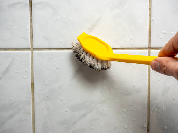 Best Local Mold Removal Service  in Hobart, WA
