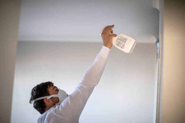 Best Residential Mold Removal  in Hobart, WA
