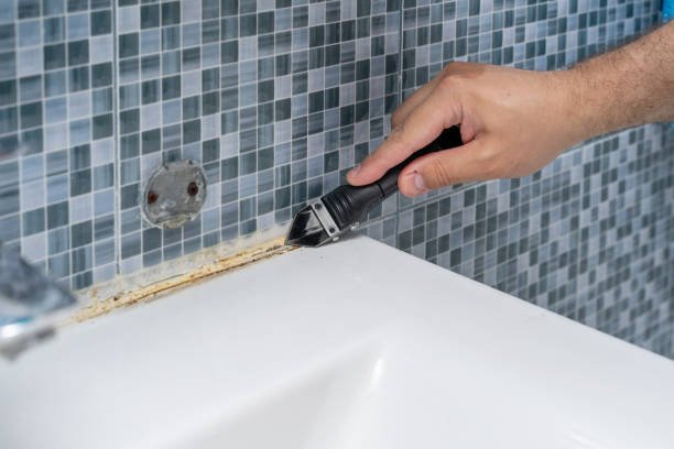Best Professional Mold Removal  in Hobart, WA