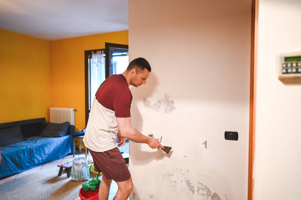 Best Fast Mold Removal  in Hobart, WA